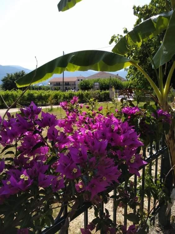 Rosegarden Villa Sámi Eksteriør bilde